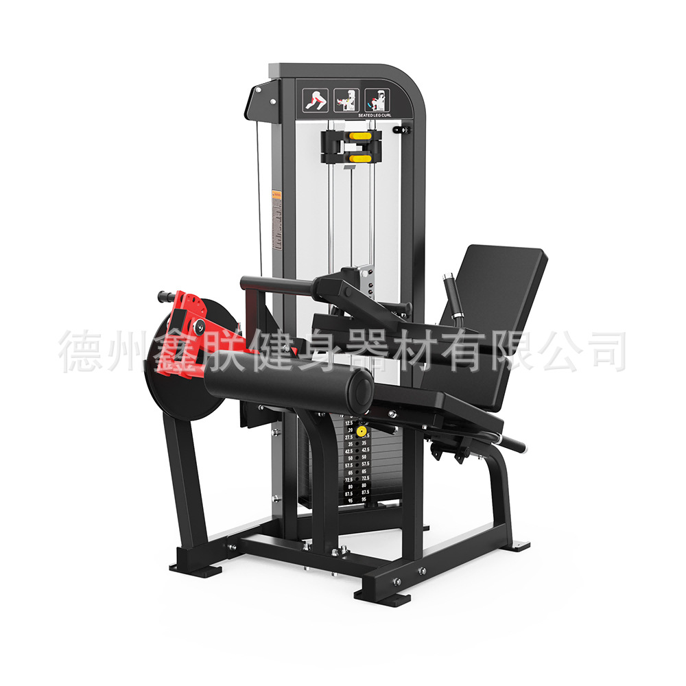 Gym Hammer Strength Equipment  - Home Gym Hammer Strength ulasan dan harga