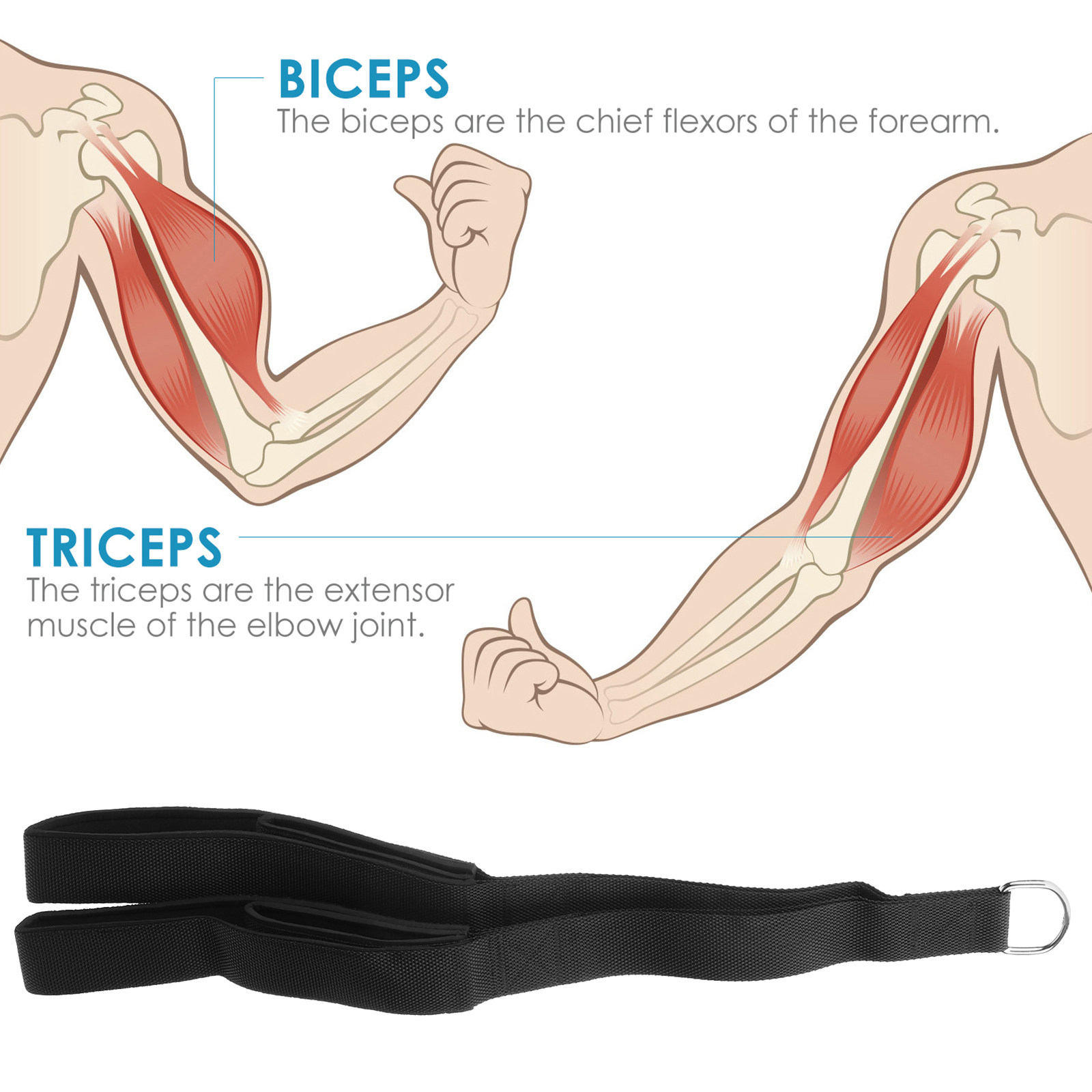 Dual Grip Tricep Pull Rope Hea - Home Gym Hammer Strength ulasan dan harga