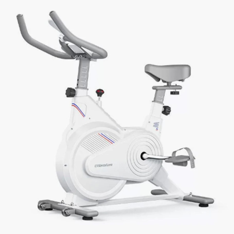Indoor Stationary Spin Bike, S - Home Gym Garden ulasan dan harga