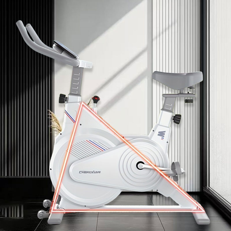 Indoor Stationary Spin Bike, S - Home Gym Garden ulasan dan harga