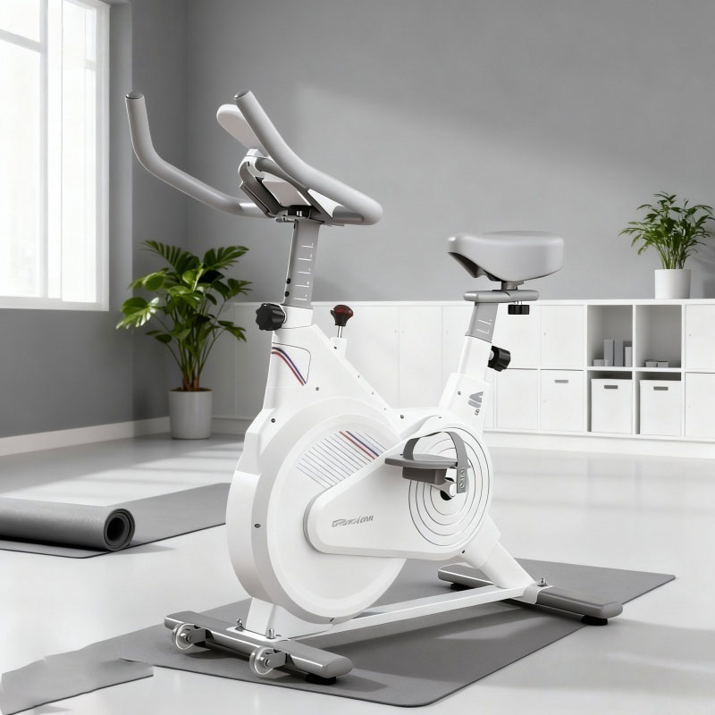 Indoor Stationary Spin Bike, S - Home Gym Garden ulasan dan harga