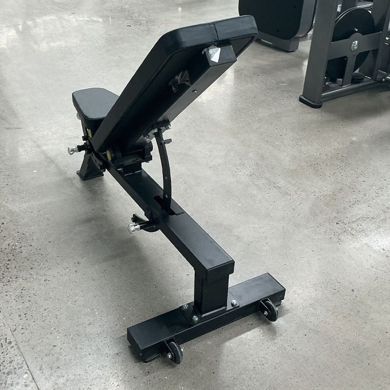 Adjustable Home Gym Dumbbell B - Home Gym Design ulasan dan harga